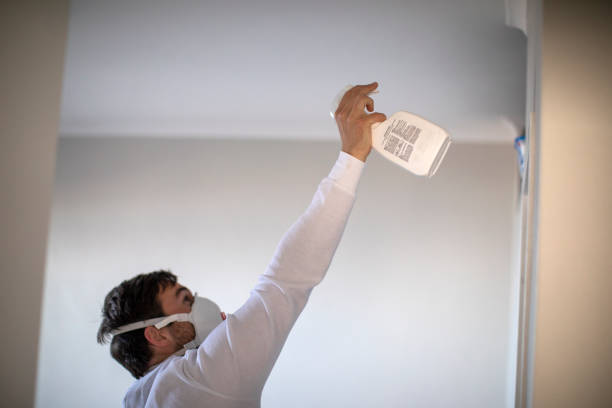 Best Toxic Mold Removal  in Cottonde, AL