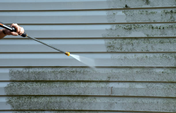 Best Mold Remediation Experts  in Cottonde, AL