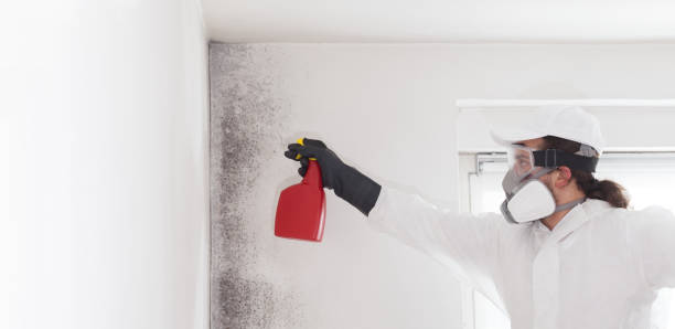 Best Commercial Mold Removal  in Cottonde, AL