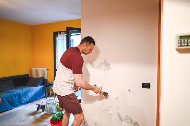 Best Affordable Mold Removal  in Cottonde, AL