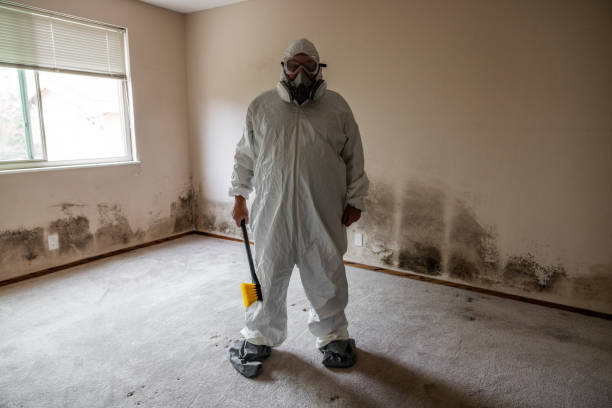 Best Mold Testing  in Cottonde, AL