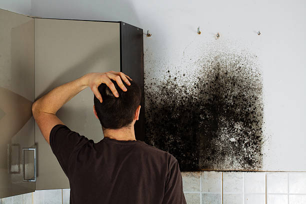 Best Residential Mold Removal  in Cottonde, AL